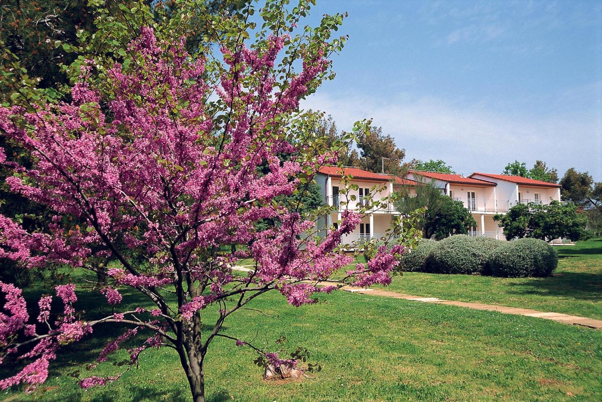 Ai Pini Medulin Resort 외부 사진